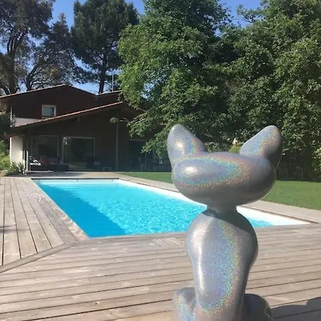 Hotell 4ch Et Superbe Piscine Chauffee A